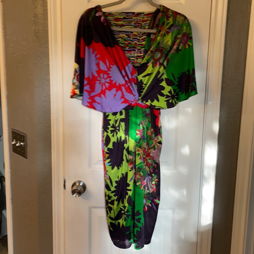 Gorgeous Ranna Gill Dress